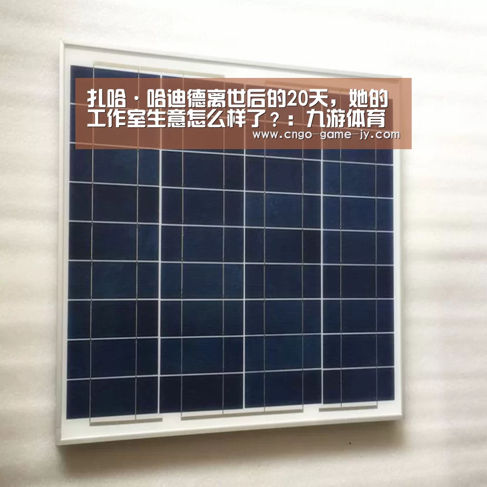 扎哈·哈迪德离世后的20天，她的工作室生意怎么样了？：九游体育