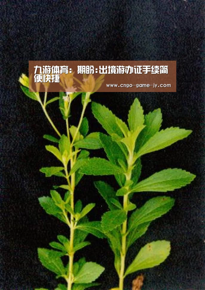 九游体育