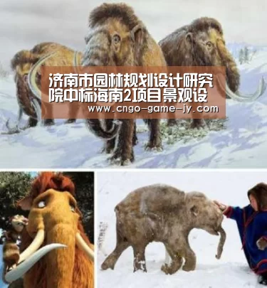 九游体育