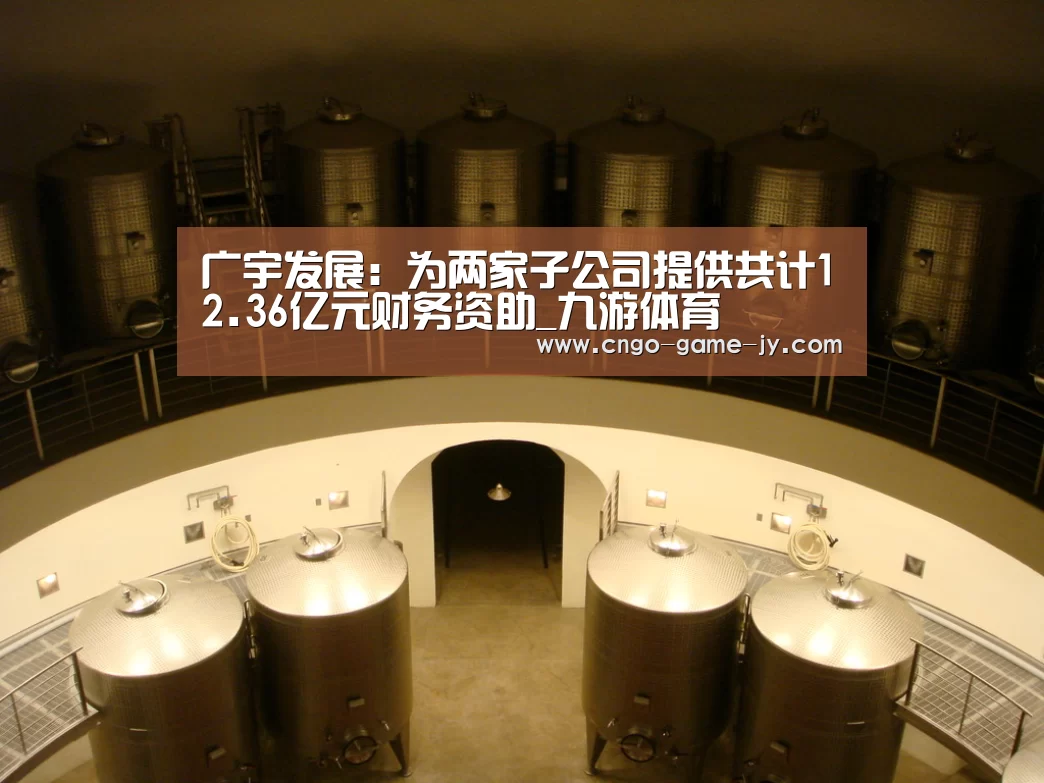 广宇发展：为两家子公司提供共计12.36亿元财务资助_九游体育