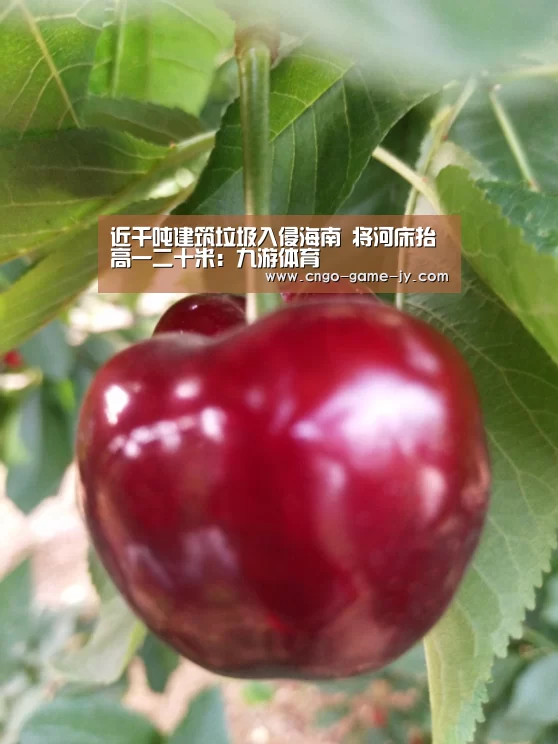 近千吨建筑垃圾入侵海南 将河床抬高一二十米：九游体育